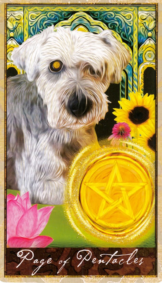 Wise Dog Tarot