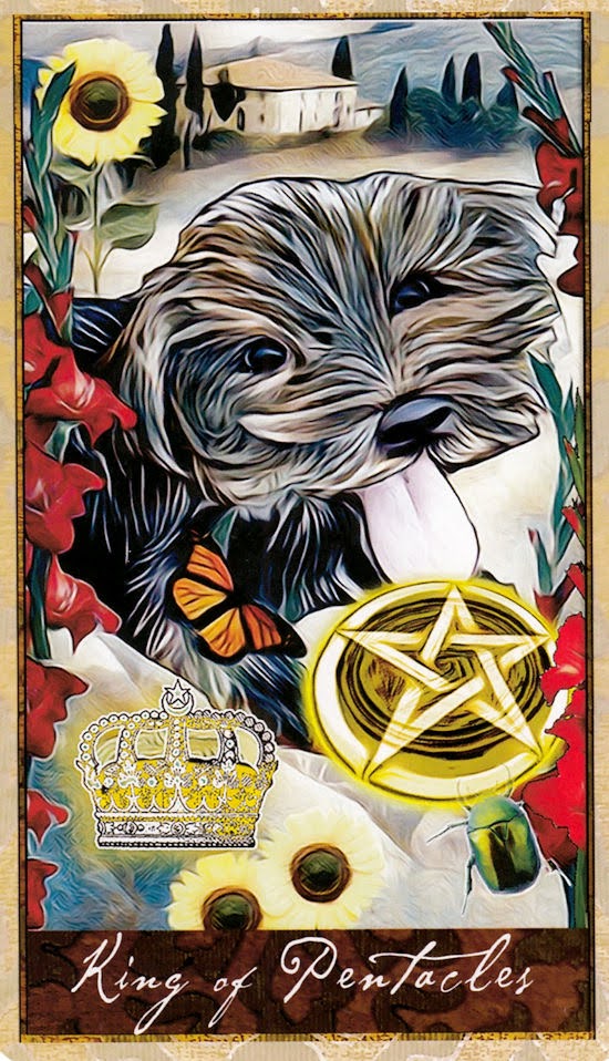 Wise Dog Tarot