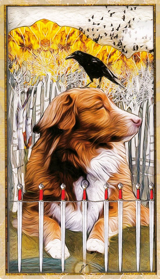 Wise Dog Tarot