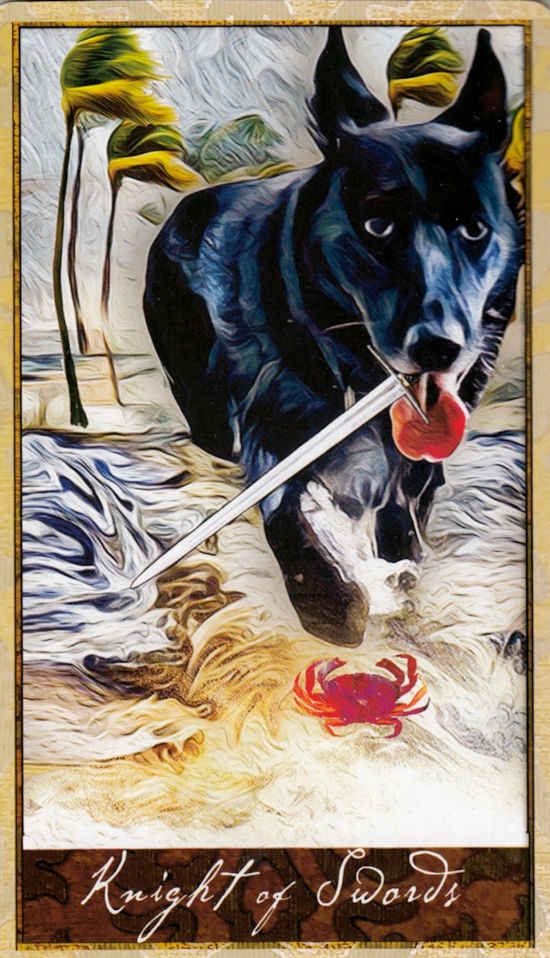 Wise Dog Tarot