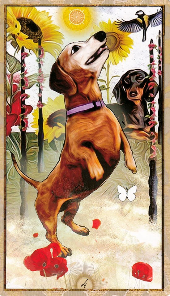 Wise Dog Tarot