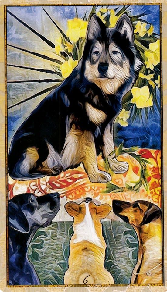 Wise Dog Tarot