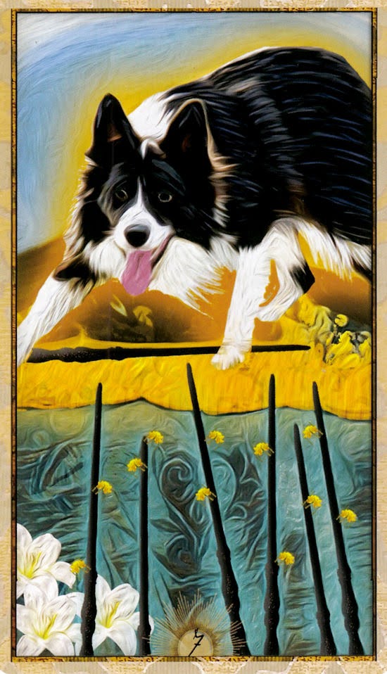 Wise Dog Tarot