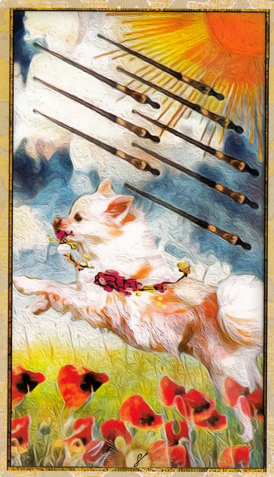 Wise Dog Tarot