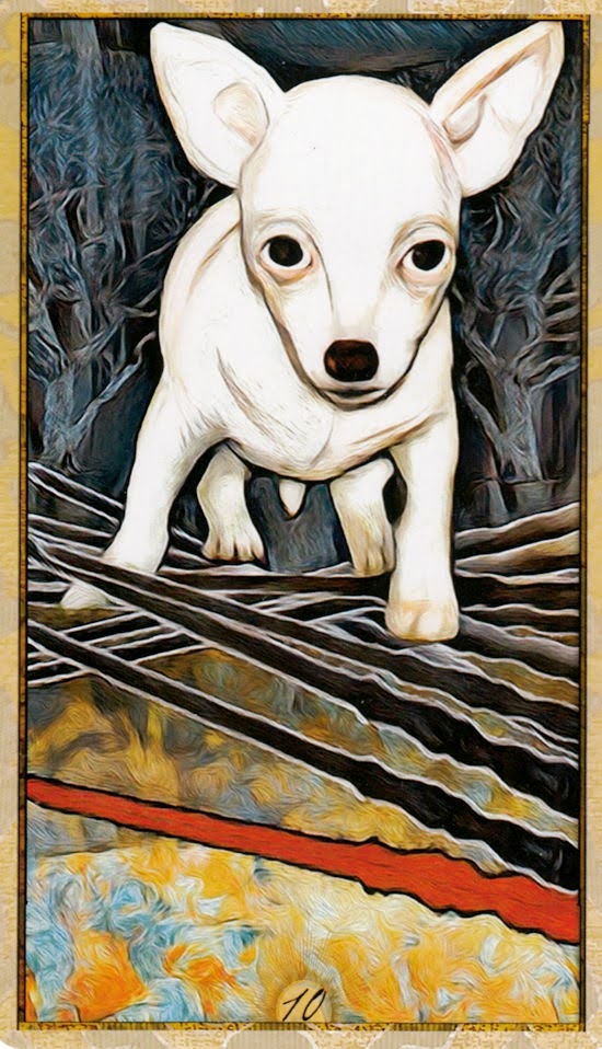 Wise Dog Tarot