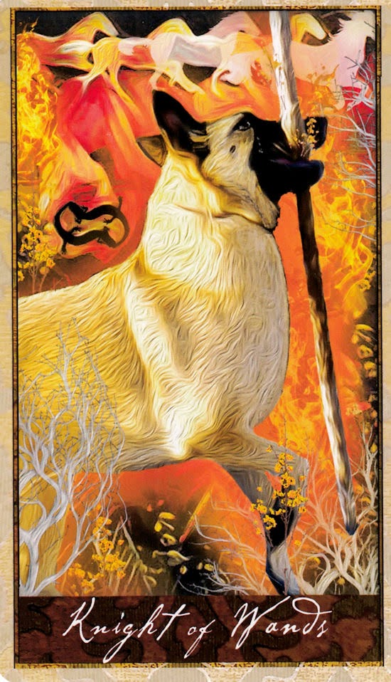 Wise Dog Tarot