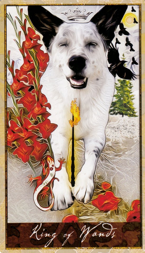 Wise Dog Tarot