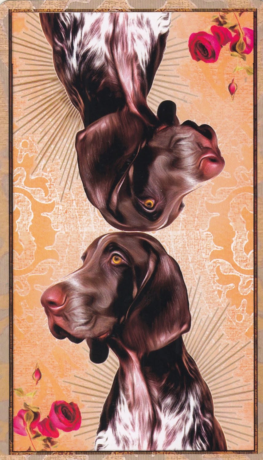 Wise Dog Tarot