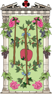 Tarot card ver.2008