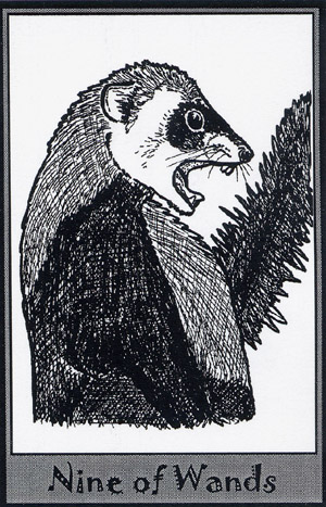 The Ferret Tarot