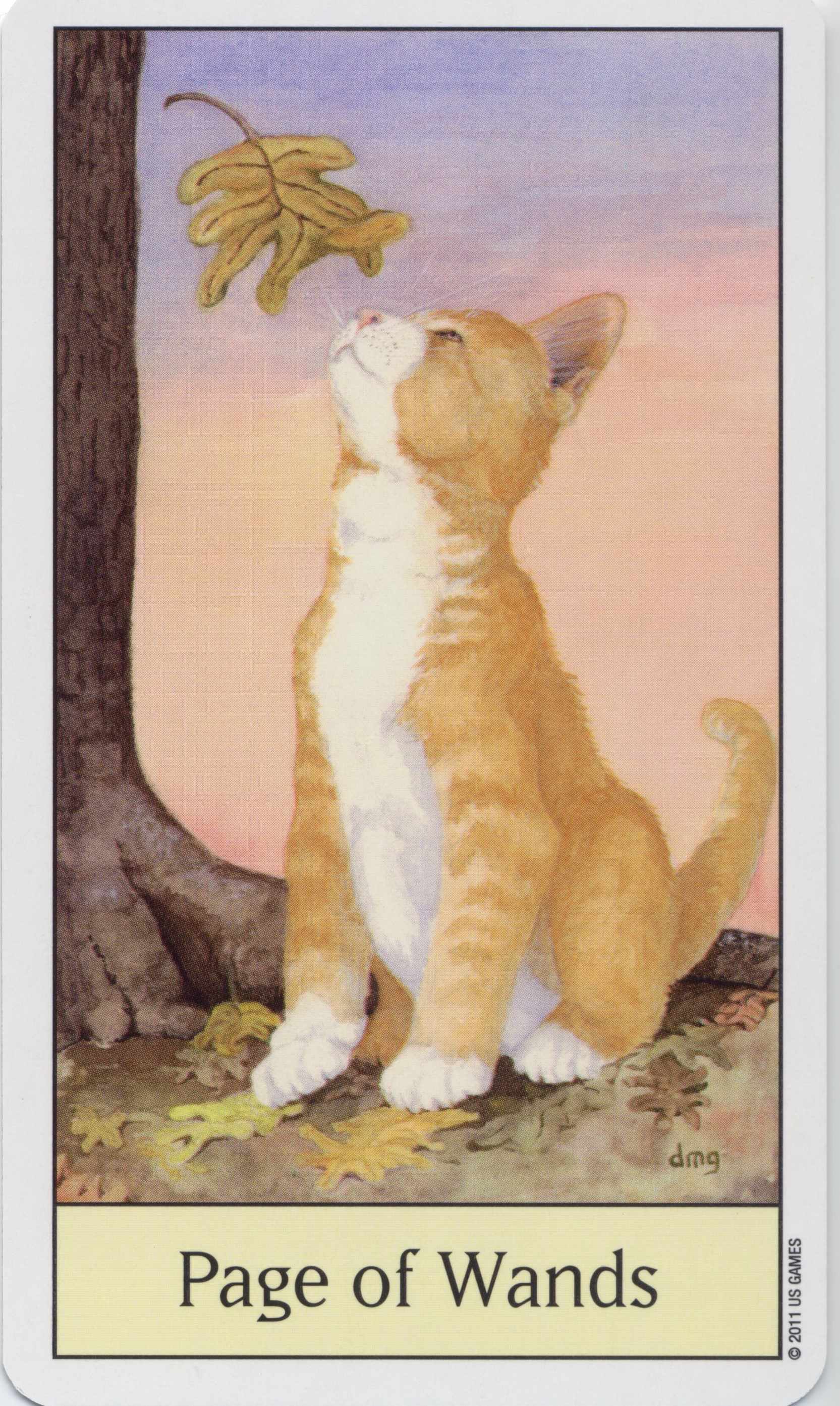 Cat's Eye Tarot