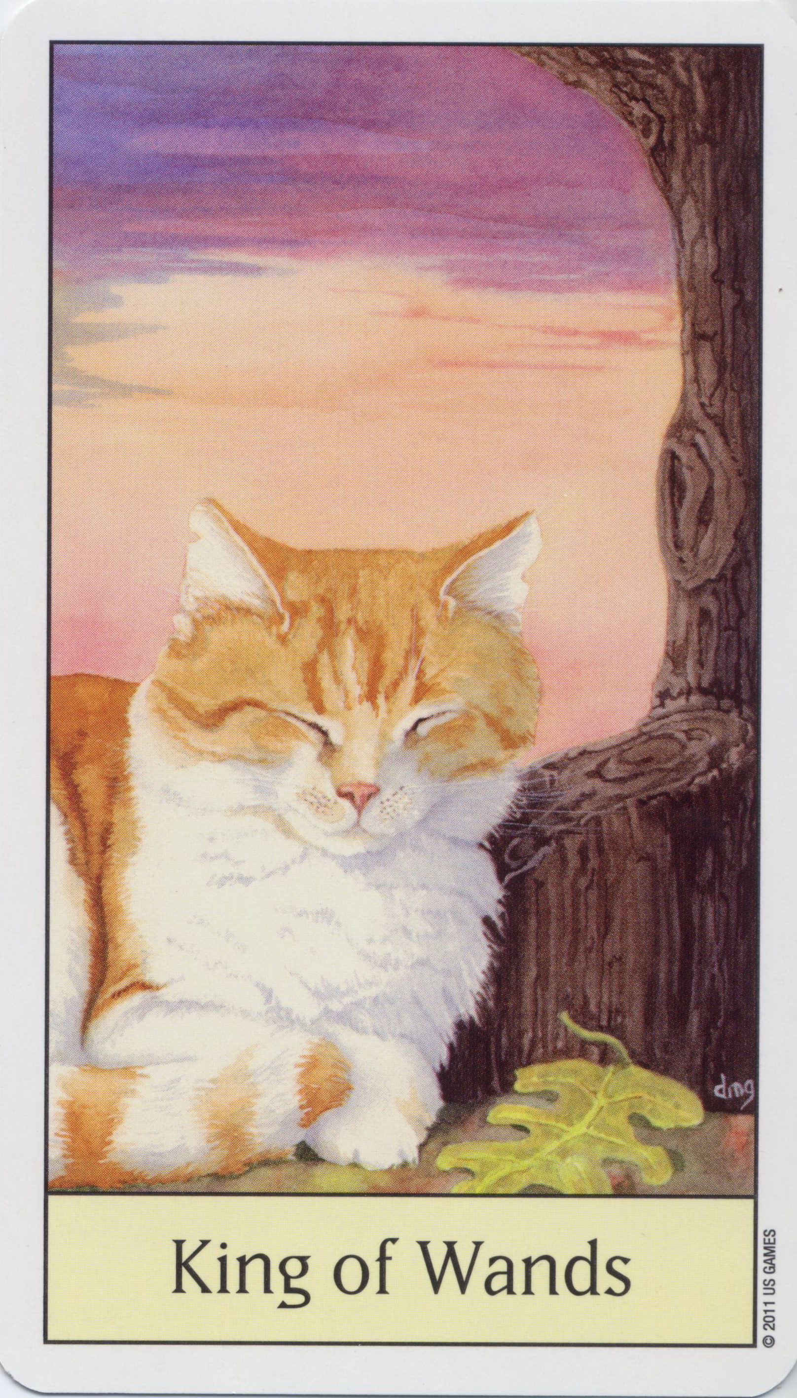 Cat's Eye Tarot