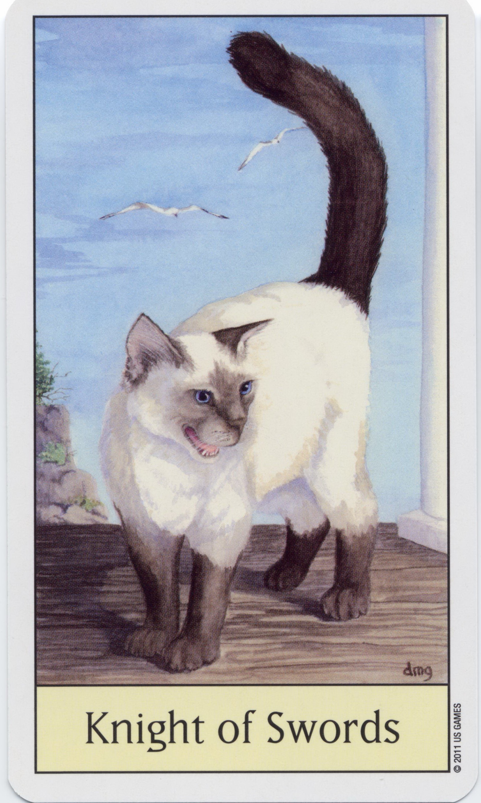 Cat's Eye Tarot