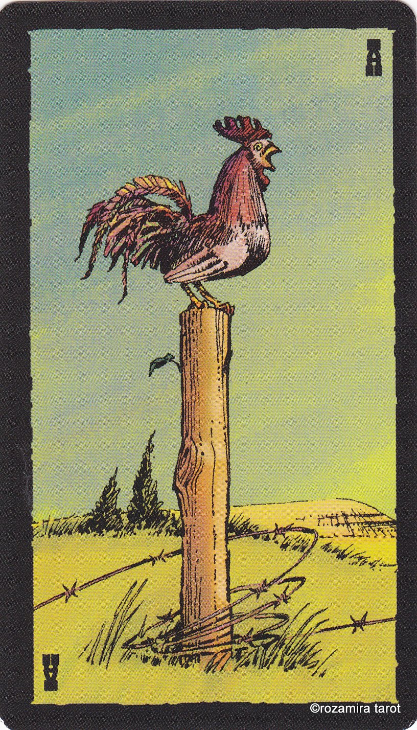 The Prairie Tarot