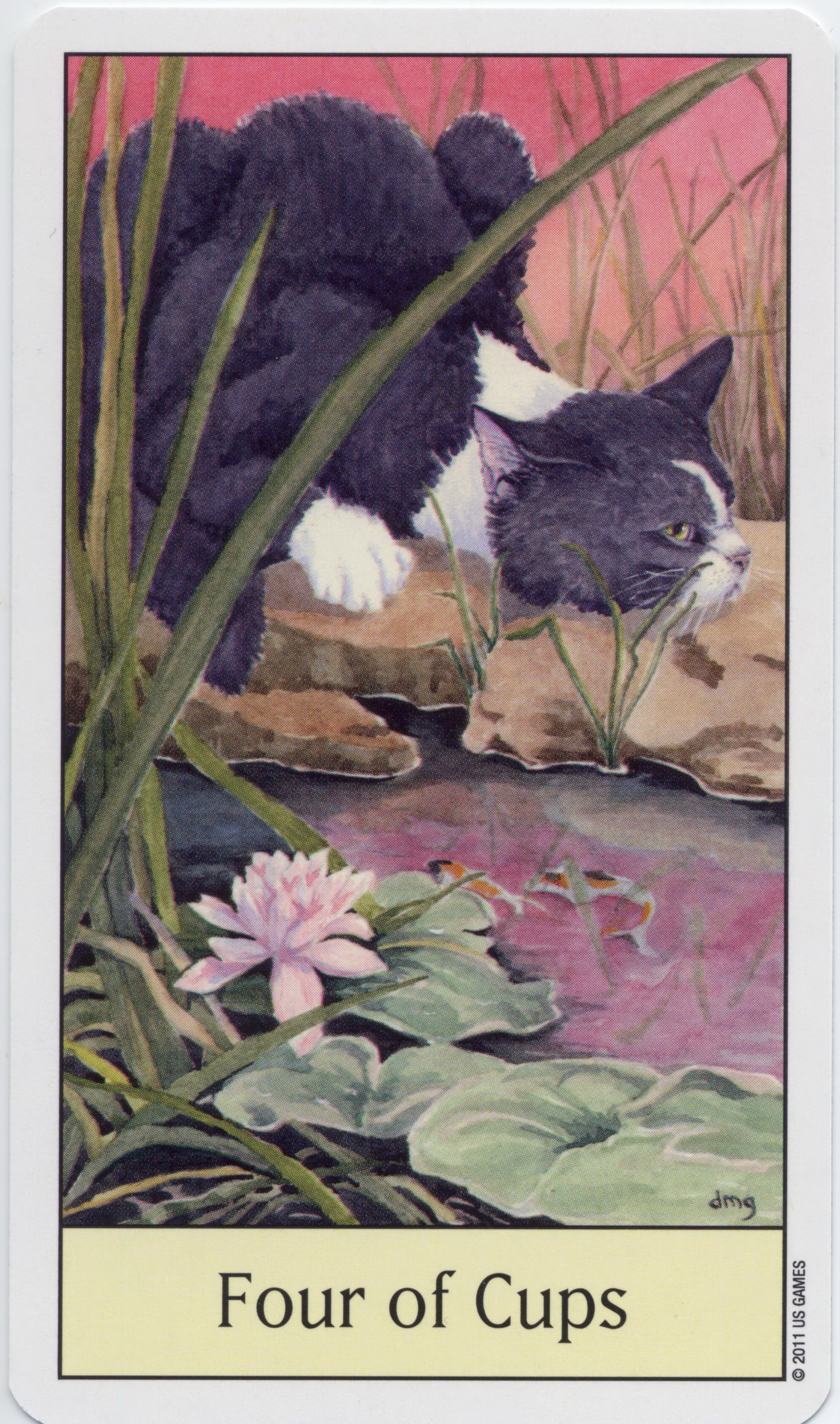 Cat's Eye Tarot