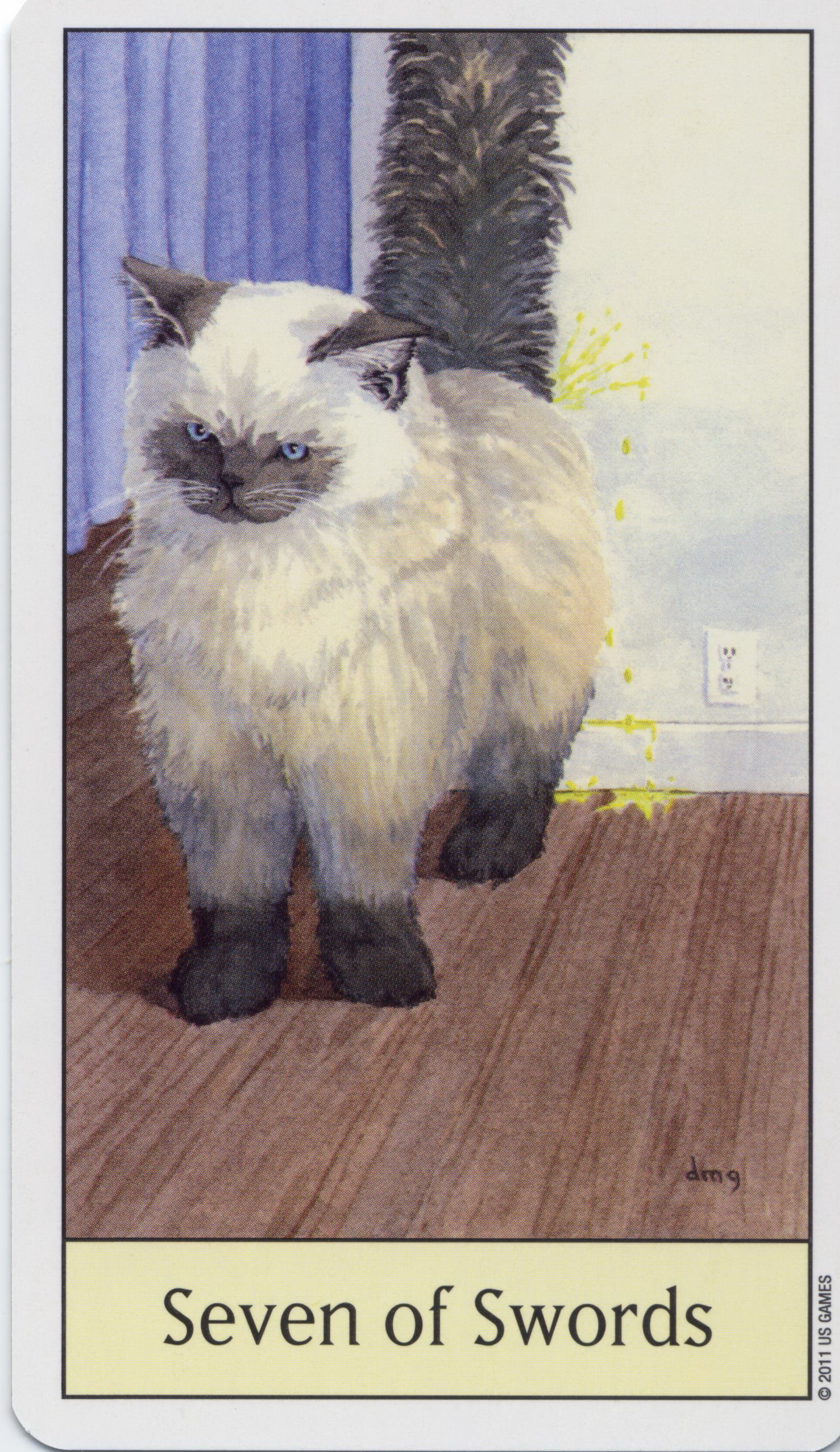 Cat's Eye Tarot