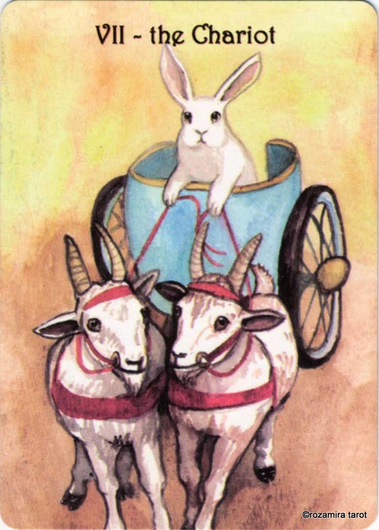 Rabbit Tarot