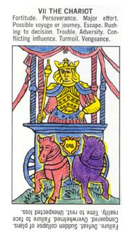 Starter Tarot (Marseilles)