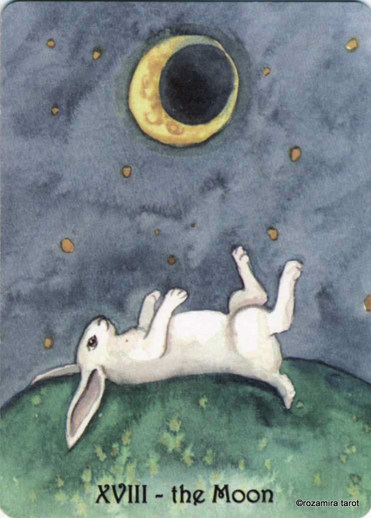 Rabbit Tarot