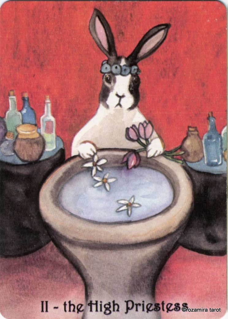 Rabbit Tarot