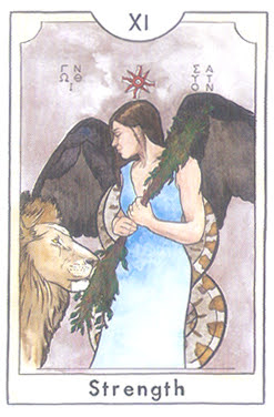 The New Chapter Tarot