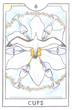 The New Chapter Tarot