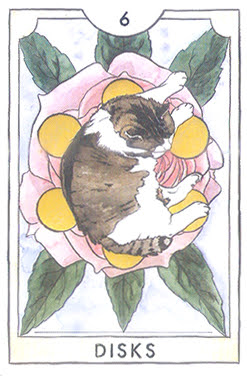 The New Chapter Tarot