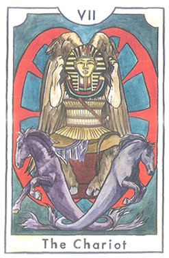 The New Chapter Tarot