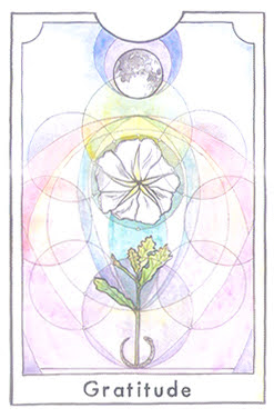 The New Chapter Tarot