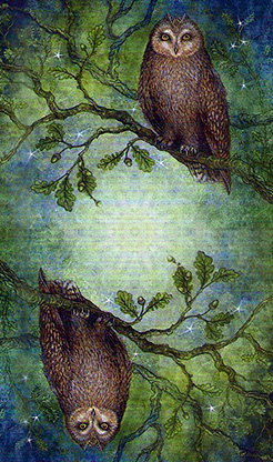 Forest of Enchantment Tarot