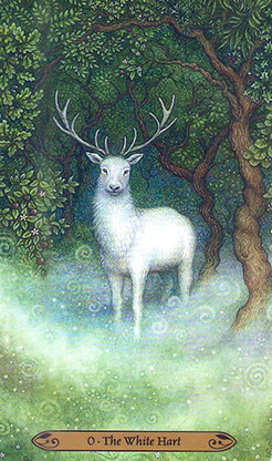 Forest of Enchantment Tarot