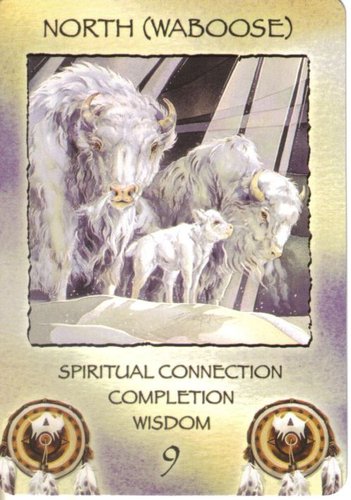 Spirit Of The Wheel Meditation Deck