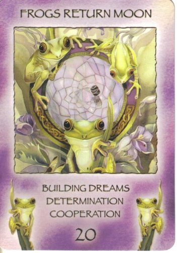 Spirit Of The Wheel Meditation Deck