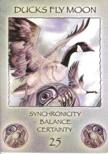 Spirit Of The Wheel Meditation Deck